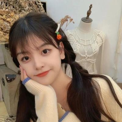 一支丁香花